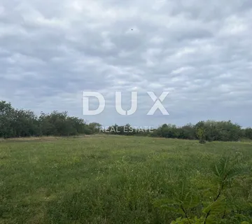 ISTRA, UMAG - Građevinsko zemljište u okolici Umaga - cover