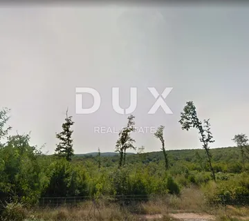 ISTRA, BALE - Prostrano poljoprivredno zemljište - cover