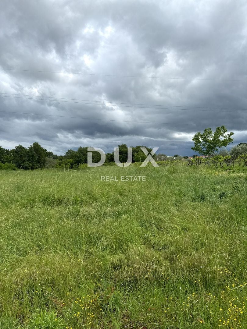 Fotografija