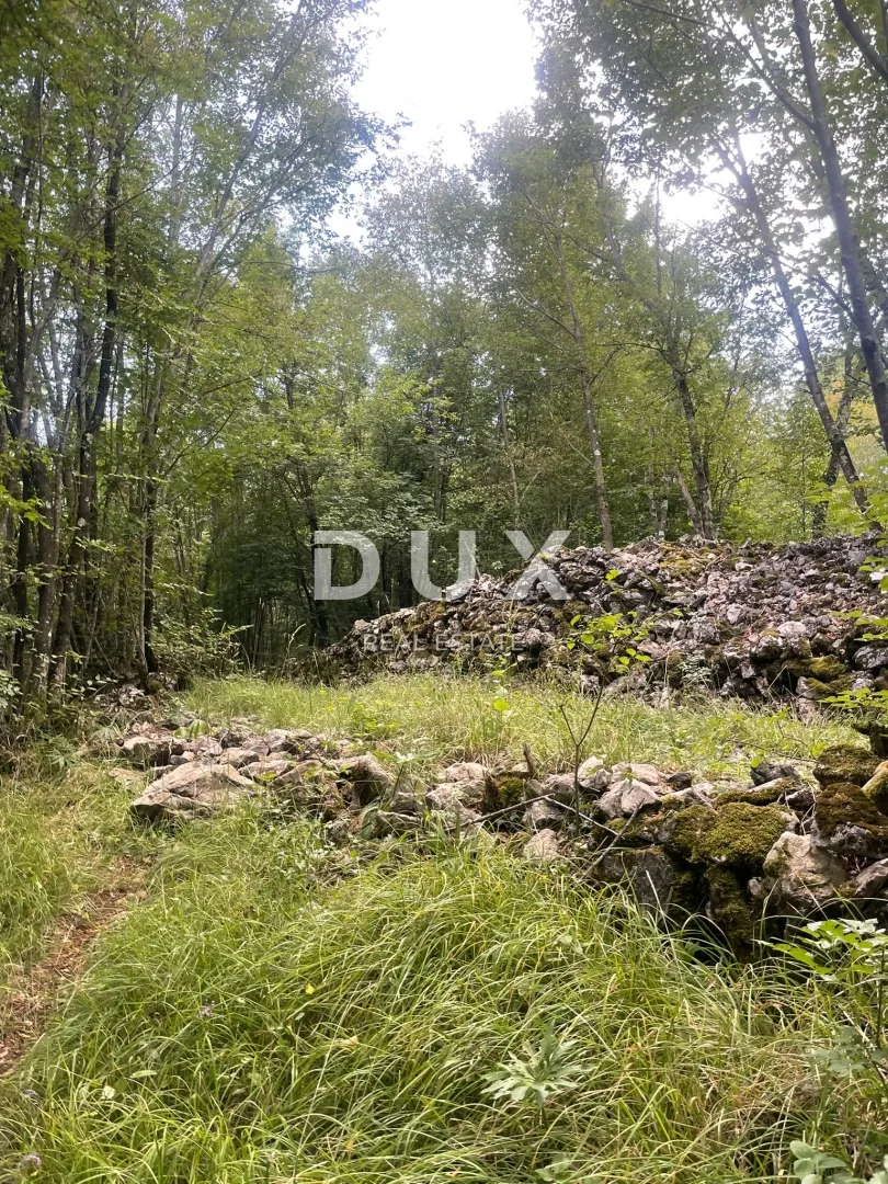Fotografija