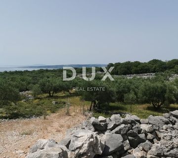 OTOK KRK, GRAD KRK - Maslinik sa gospodarskim objektom - cover