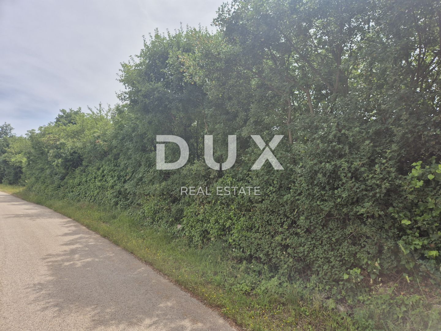 Fotografija