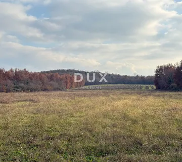 ISTRA,POREČ - Prostrano poljoprivredno zemljište - cover