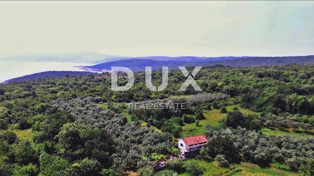 Fotografija