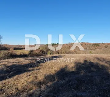 ISTRA, GROŽNJAN - Kompleks građevinskog i poljoprivrednog zemljišta panoramskog pogleda - cover