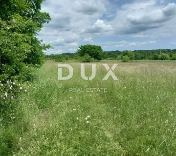 ISTRA, KANFANAR - Uredno poljoprivredno zemljište, pogodno za uzgoj vinove loze i maslina - cover