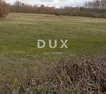 ISTRA, KRNICA Prostrano poljoprivredno zemljište 13 300 m2 - cover