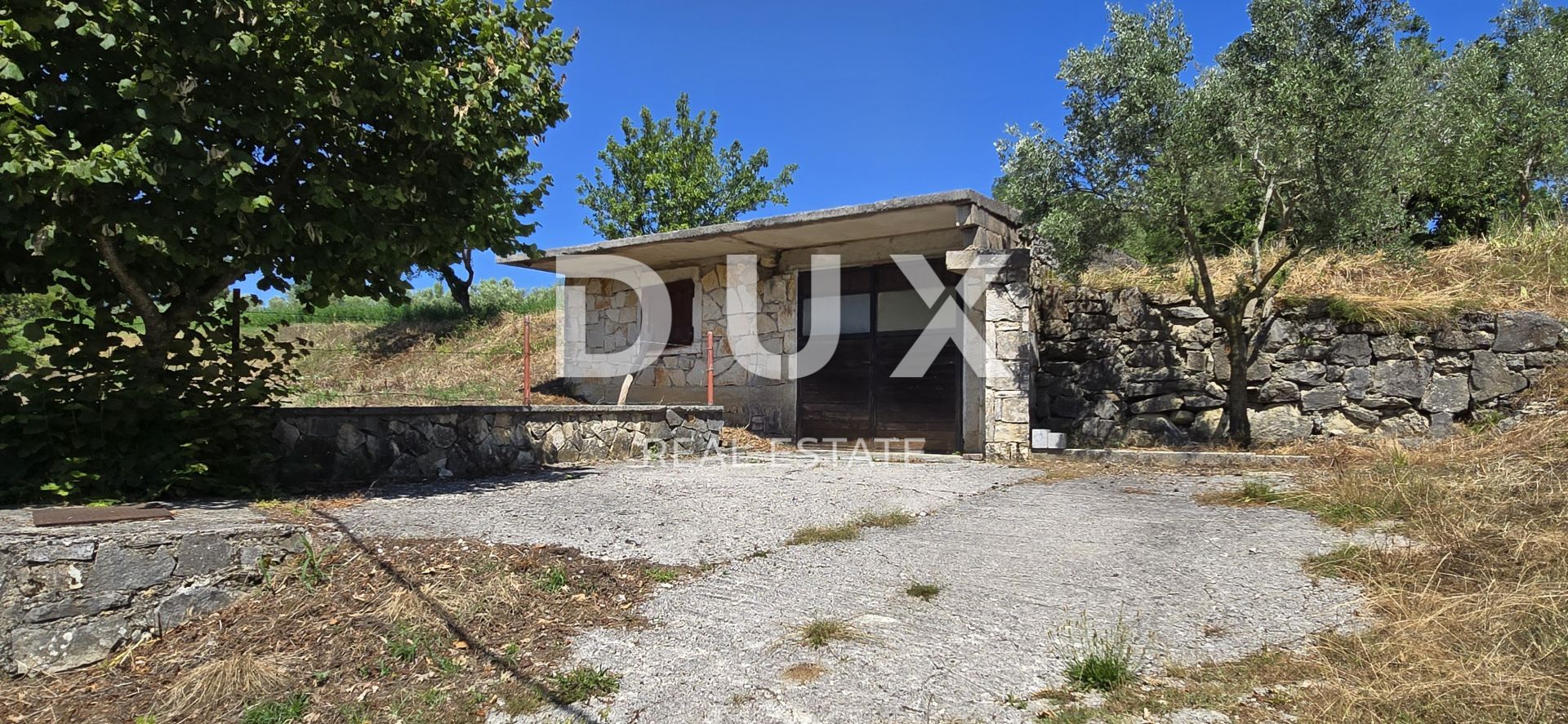 Fotografija