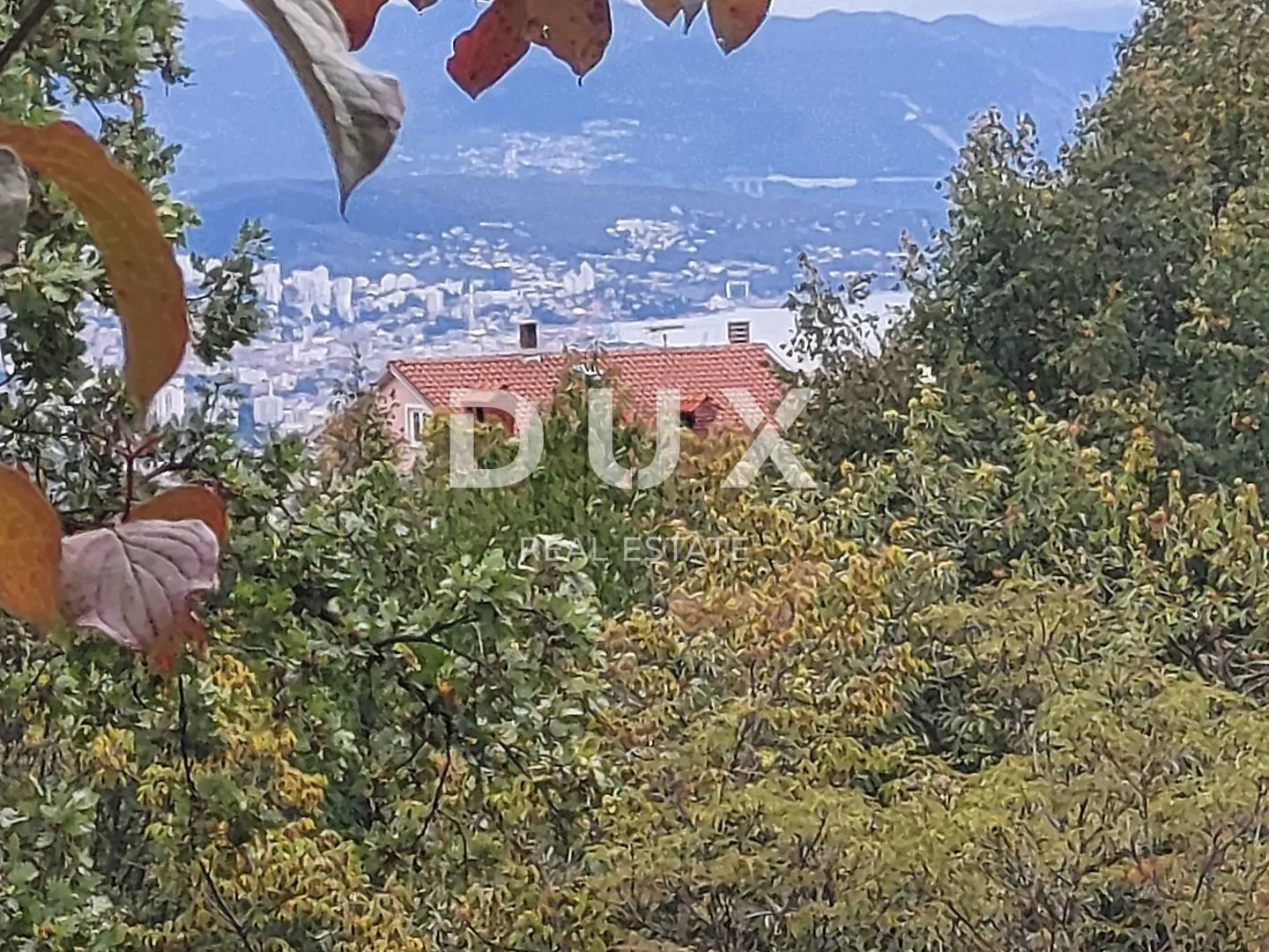 Fotografija