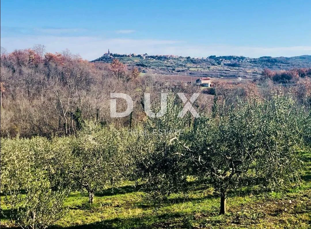 Fotografija