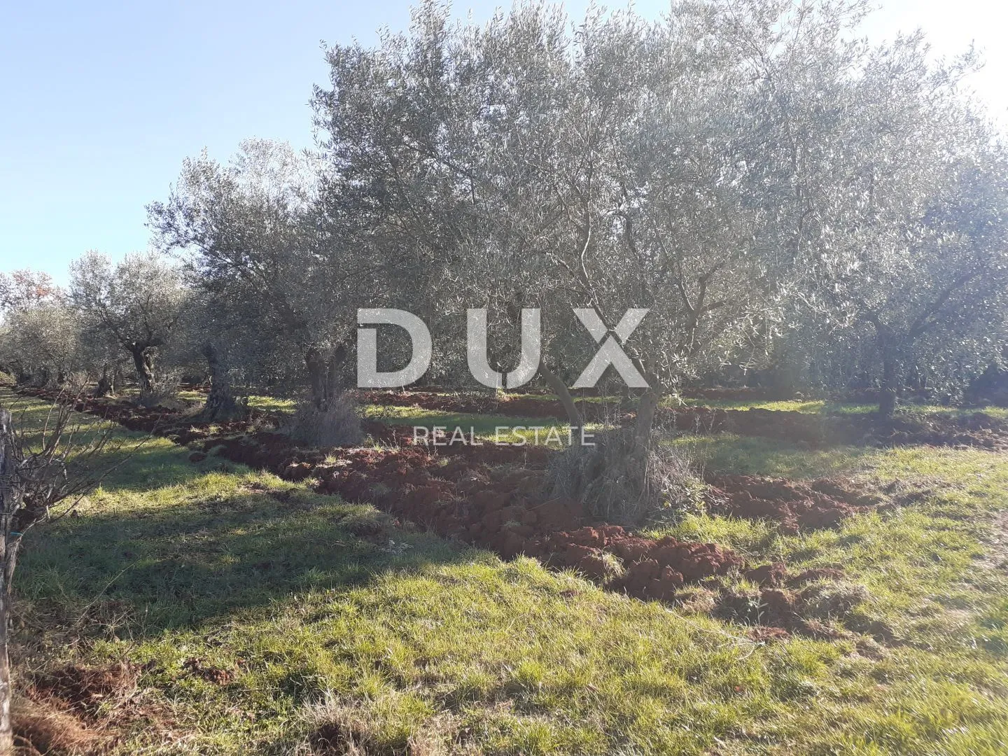 Fotografija