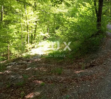 VINODOLSKA OPĆINA, LUKOVO, BRIBIR - poljoprivredno zemljište, bukova šuma - cover