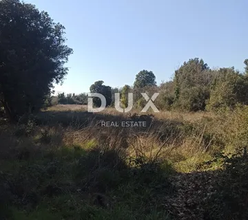 ISTRA, ŠIŠAN - Poljoprivredno zemljište pred urbanizaciju - BLIZINA MORA!! - cover