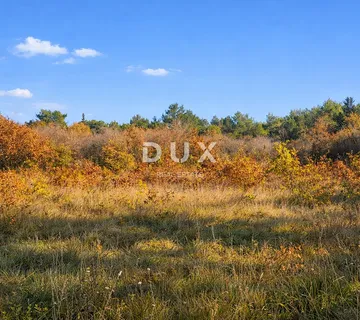 ISTRA, SAVUDRIJA - Poljoprivredno zemljište u idiličnom okruženju - cover