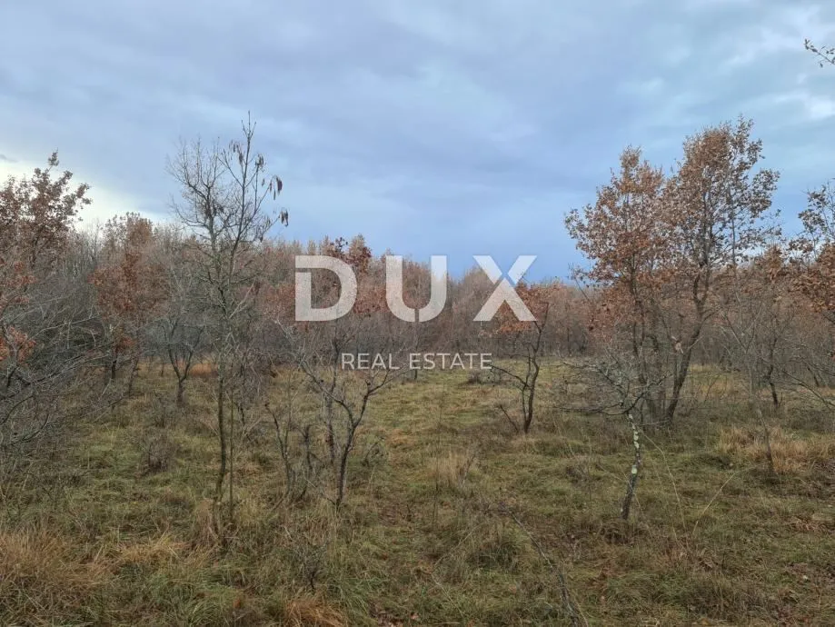 Fotografija