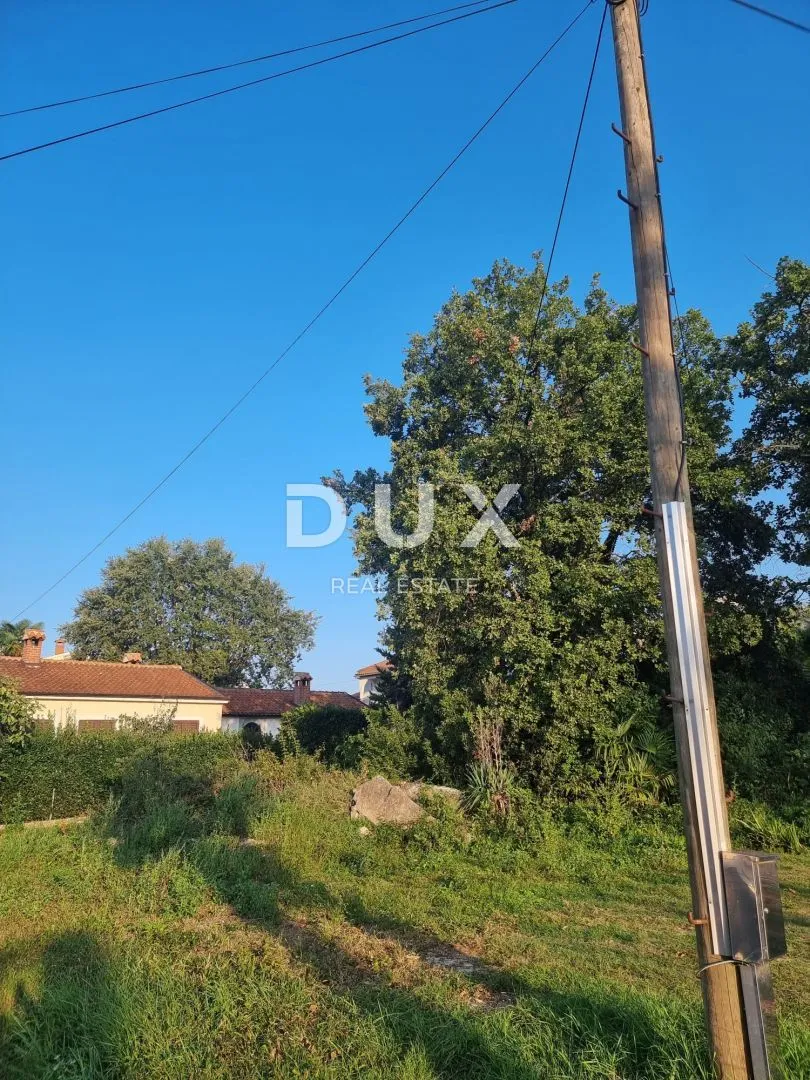 Fotografija