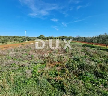 ISTRA, PULA Poljoprivredno zemljište nedaleko od centra grada!  - cover