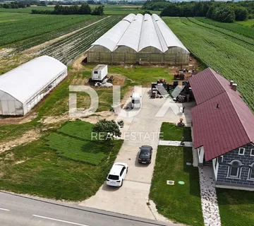 VIROVITICA, PITOMAČA - Prostrano imanje za proizvodnju povrća, s kućom i dodatnim parcelama za gradnju - cover