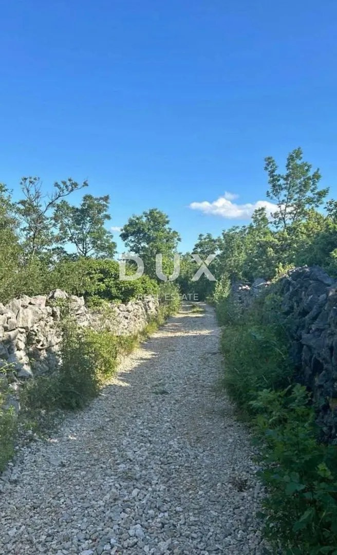 Fotografija