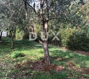 ISTRA, GLAVANI - Građevinsko zemljište 504 m2! - cover