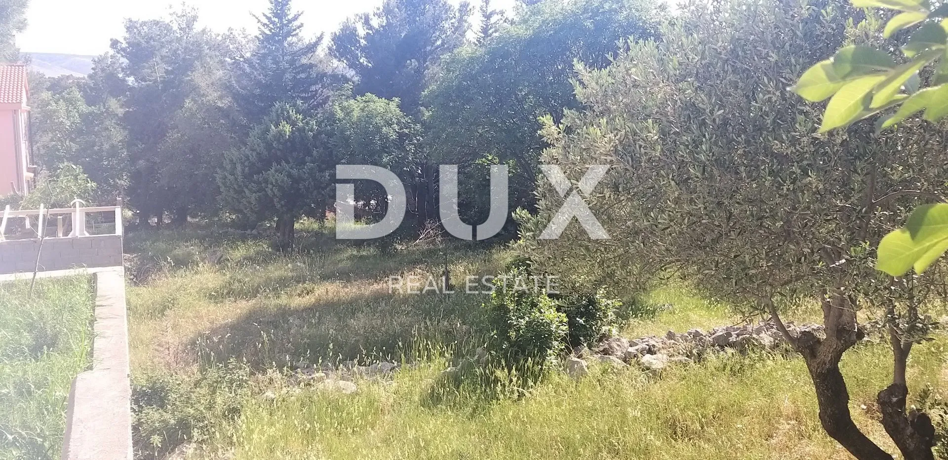 Fotografija