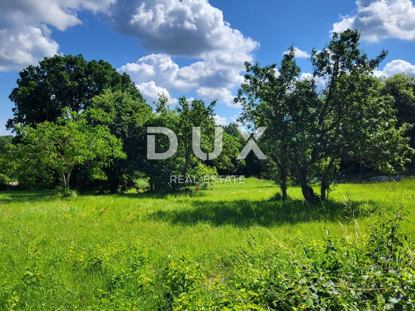 Fotografija