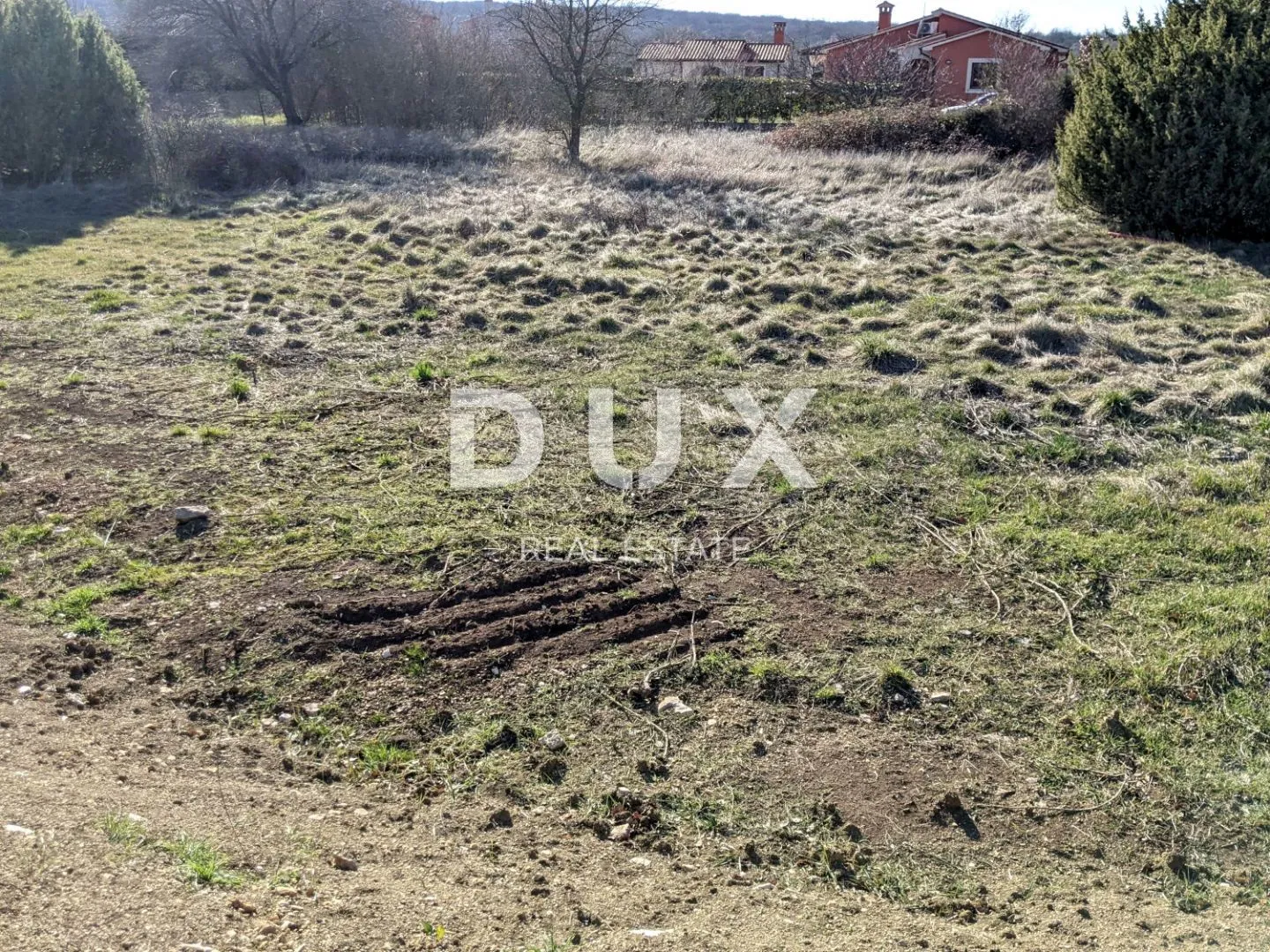 Fotografija