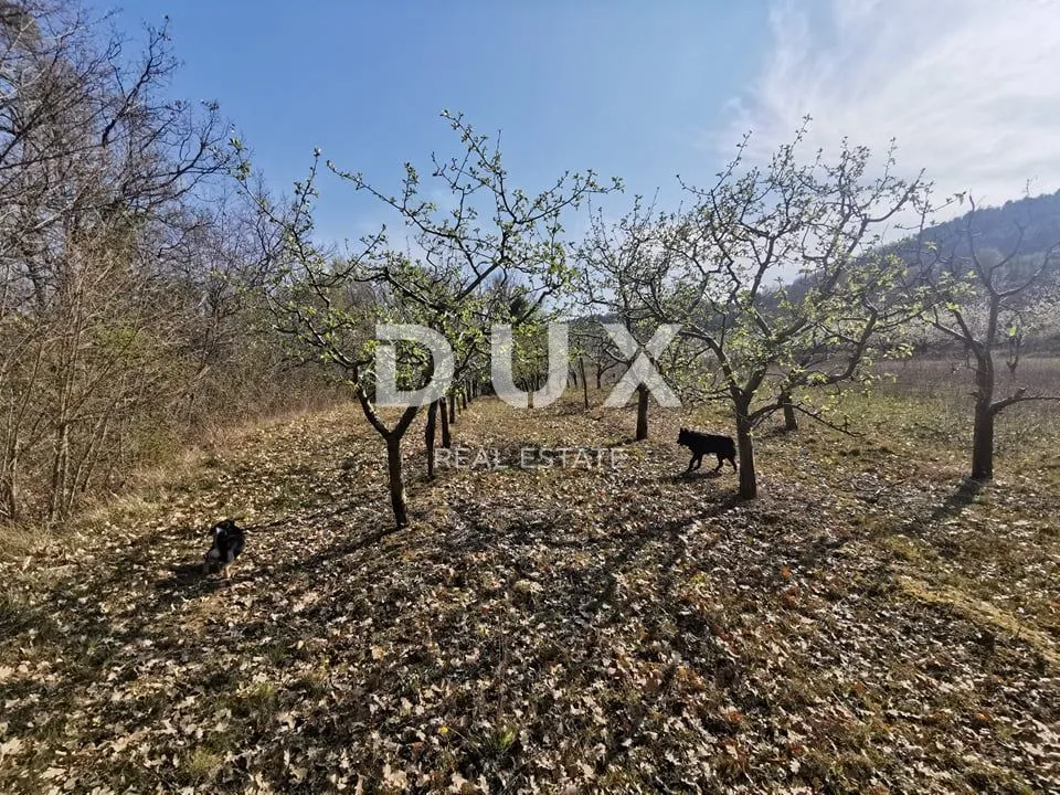 Fotografija