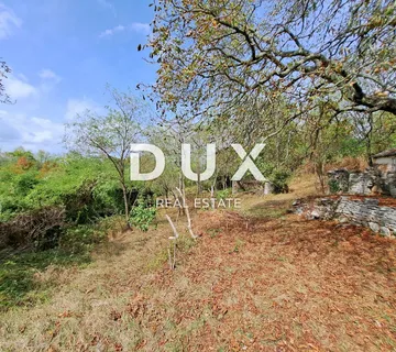 ISTRA, GROŽNJAN, OKOLICA - zemljište od 60.000 m², s objektom površine 21 m² - cover