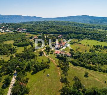 ISTRA, LABIN (OKOLICA) - Poljoprivredno zemljište obraslo šumom 2,9ha - cover