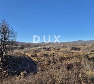 TRŽIĆ TOUNJSKI - Veliko zemljište s ruševnim kućama-100 000 m2 u jednom komadu! - cover