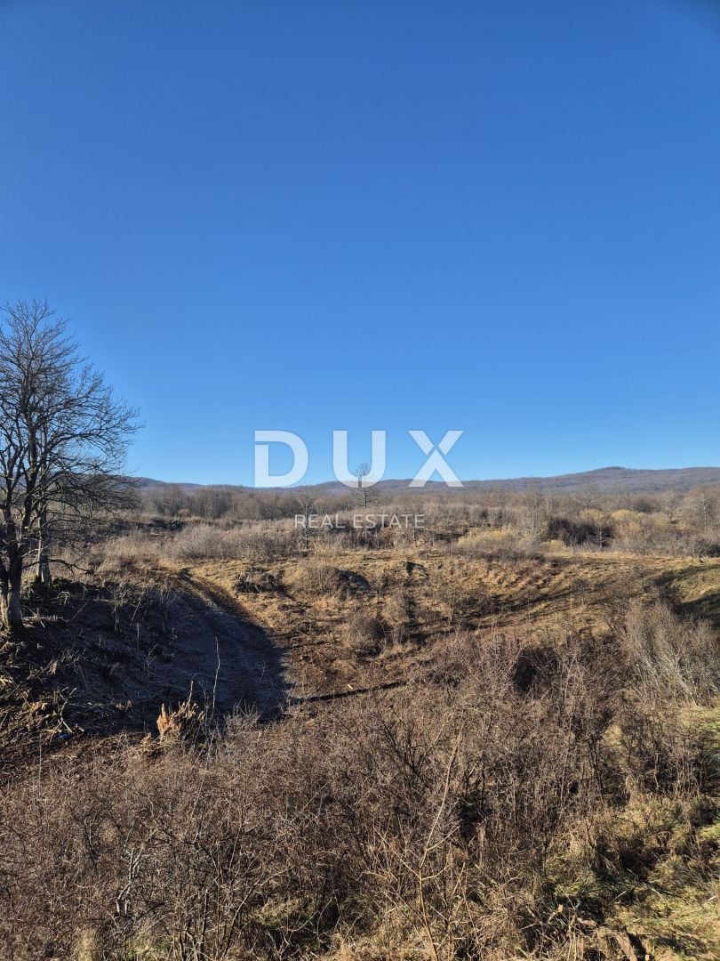 Fotografija