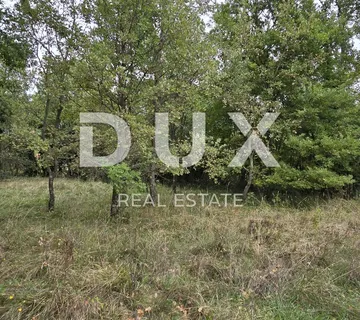 ISTRA, GROŽNJAN - Građevinsko zemljište na rubu naselja - cover