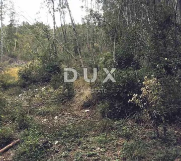 ISTRA, ĆIĆARIJA - Poljoprivredno zemljište - cover