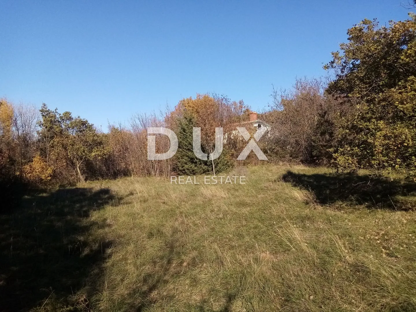 Fotografija