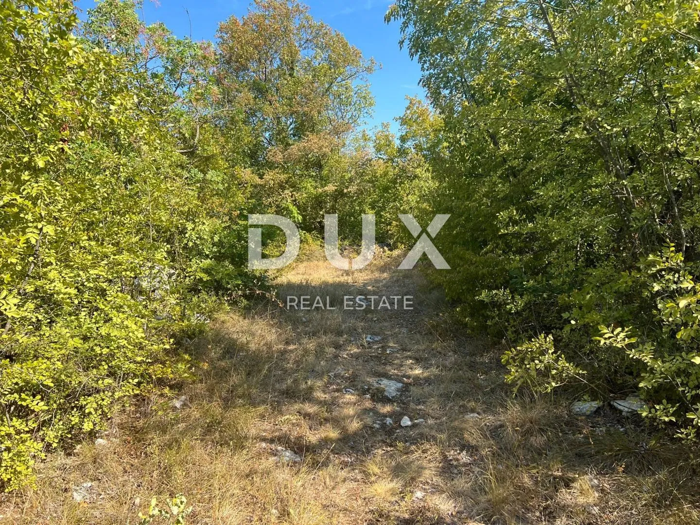 Fotografija