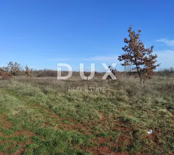 ISTRA, UMAG - Građevinsko zemljište 900m od mora - cover