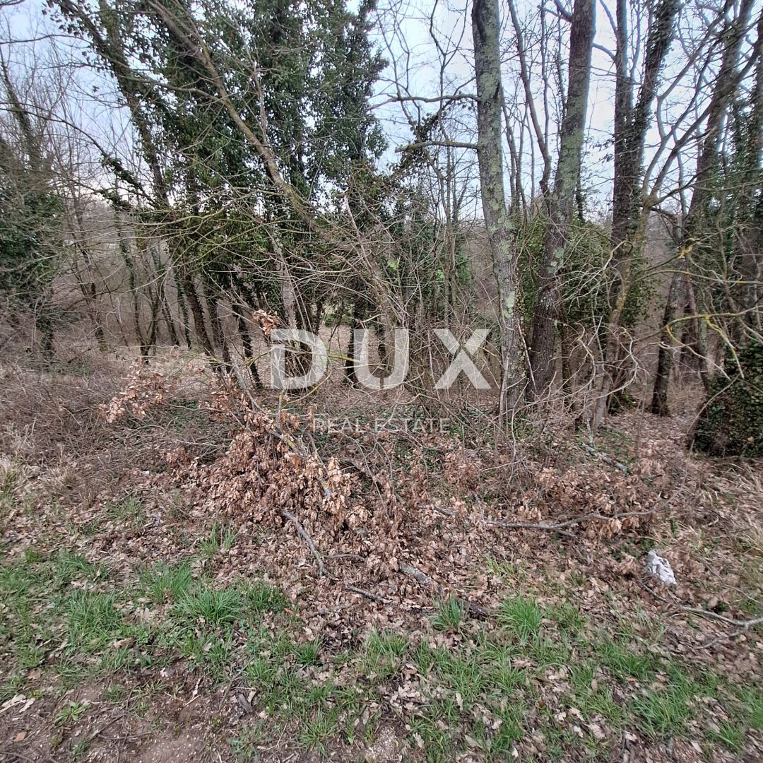 Fotografija