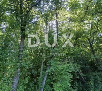 ISTRA, LABIN - Šuma, idealna za sječu - cover