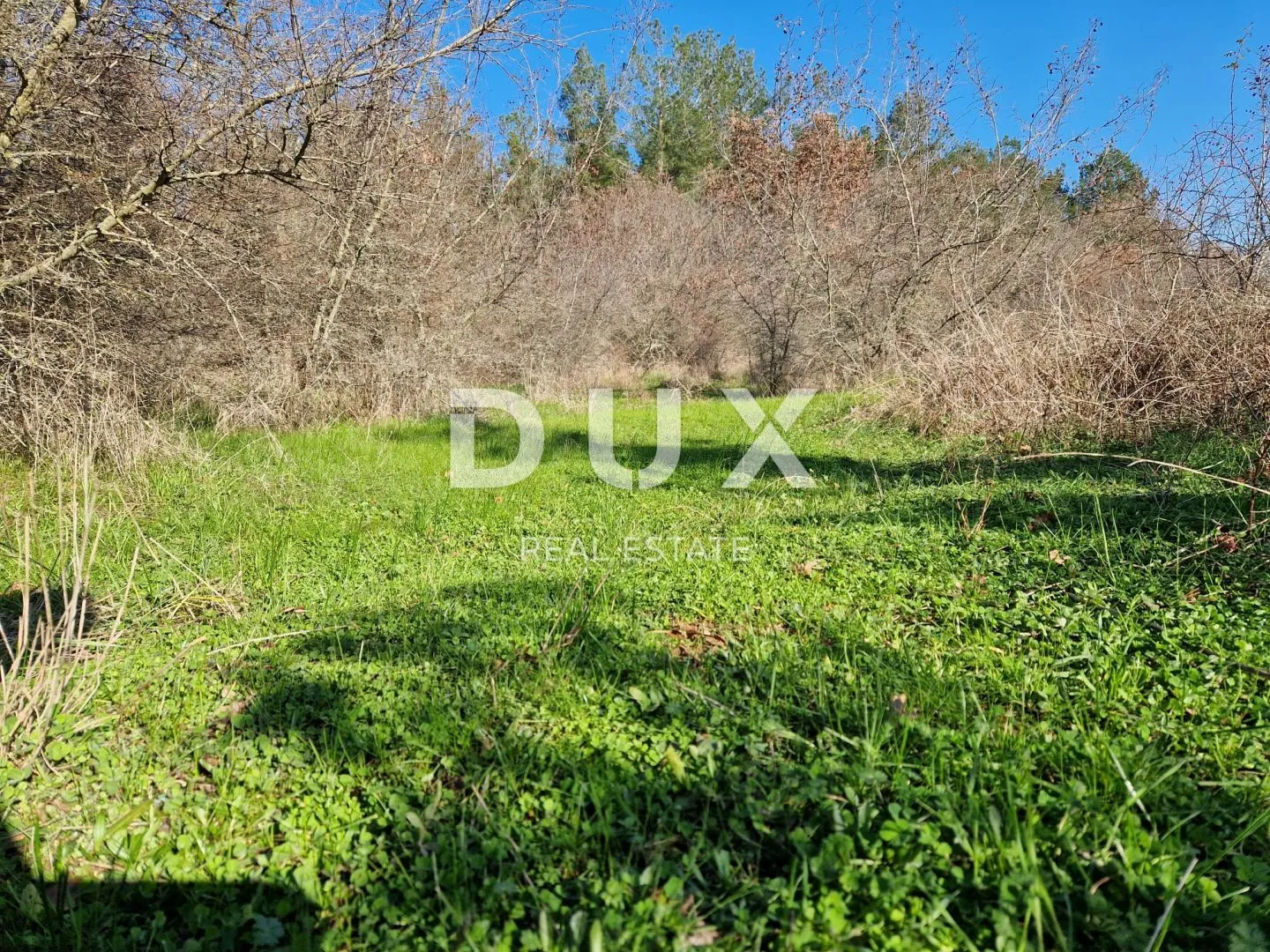Fotografija