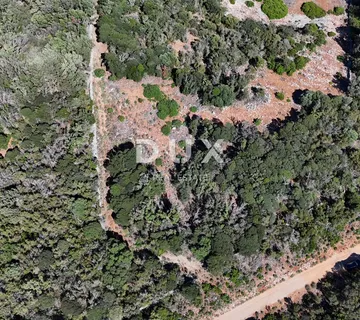 Cres, Punta Križa, poljoprivredno zemljište, 58500 m2 - Punta Križa, Mali Lošinj