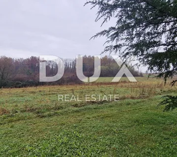 ISTRA, PAZIN - Poljoprivredno zemljište površine 10.000 m2 - cover