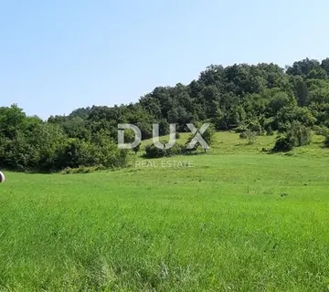 ISTRA, PAZIN - Imanje s potencijalom na osami