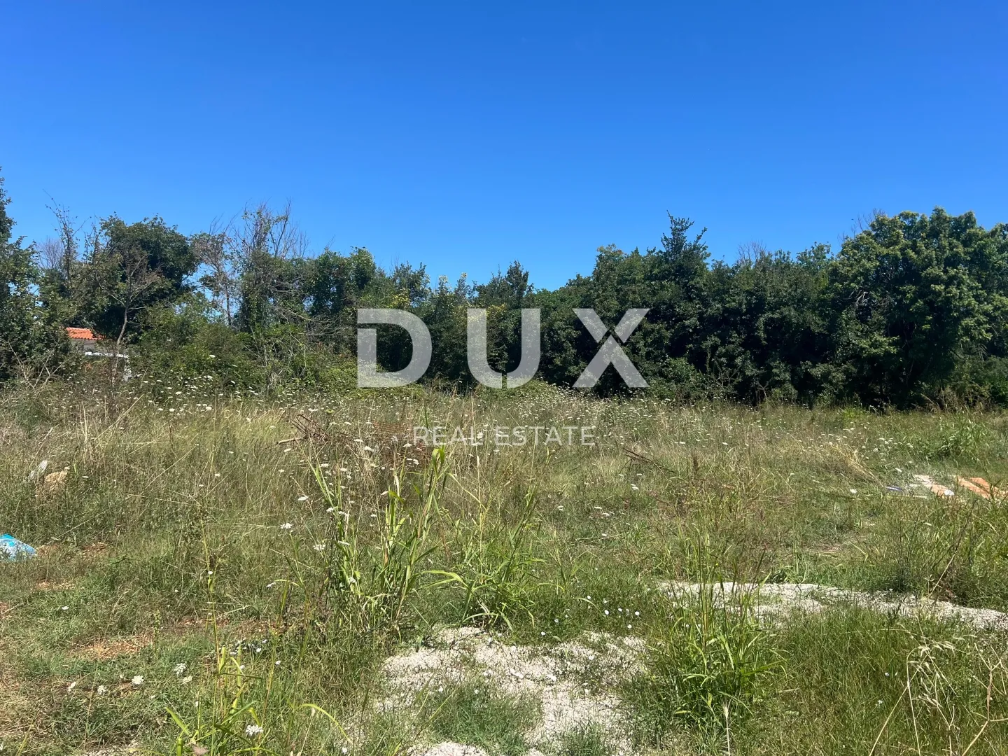 Fotografija