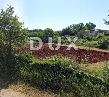 ISTRA, SVETI LOVREČ - Zemljište na rubu građevinske zone, s 3 strane okruženo netaknutom prirodom - Sveti Lovreč Pazenatički