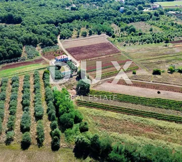 ISTRA, UMAG - Neponovljiva privatna stancija smještena u prirodnoj oazi