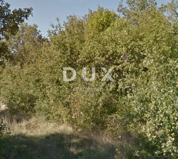 ISTRA, SVETI LOVREČ - Poljoprivredno zemljište - Sveti Lovreč Pazenatički