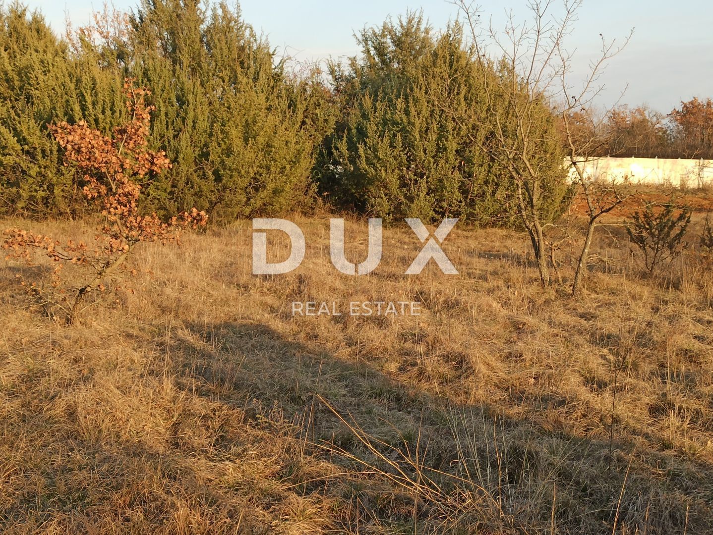 Fotografija