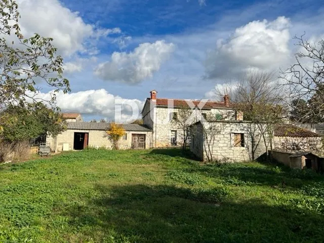 Fotografija