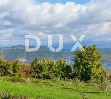 ISTRA, PIĆAN imanje s prekrasnim pogledom i ruševnom kamenom kućom - cover